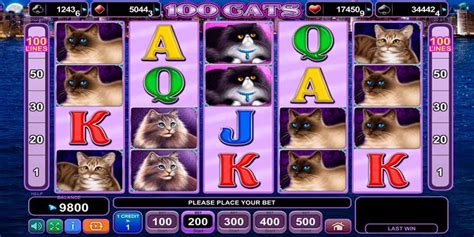 the slot cats|100 cats slots free games.